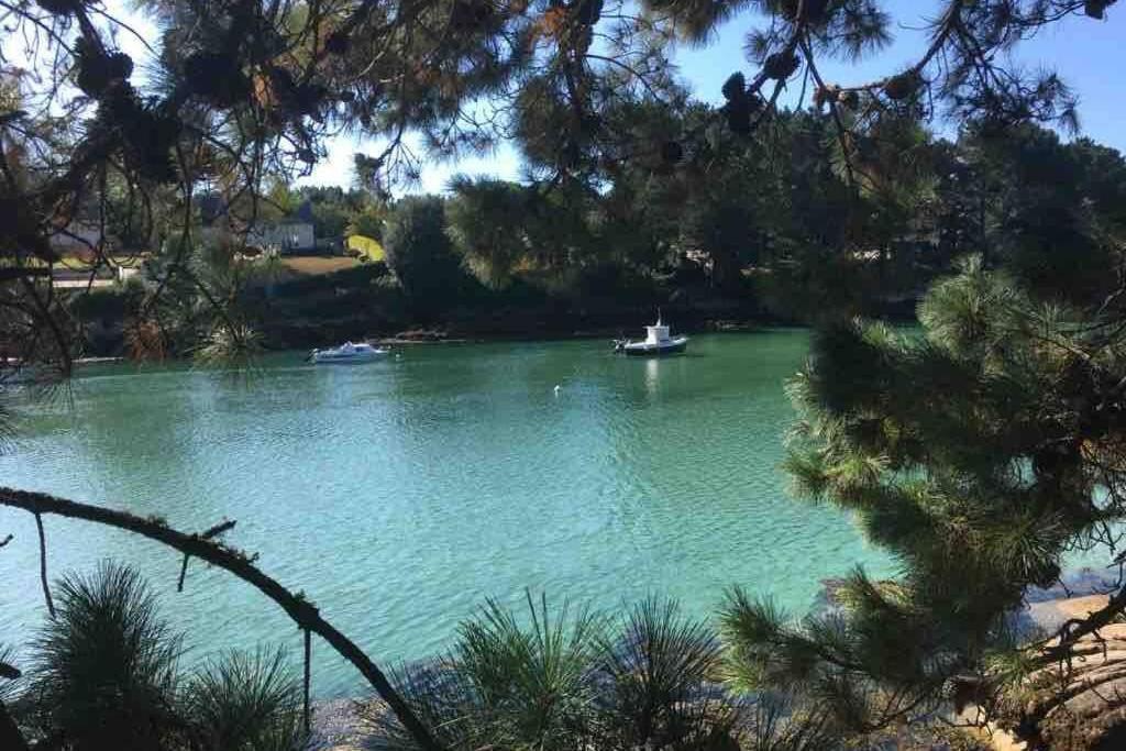 L'Olivier Du Cabellou, A 900 M Des Plages Конкарно Екстериор снимка