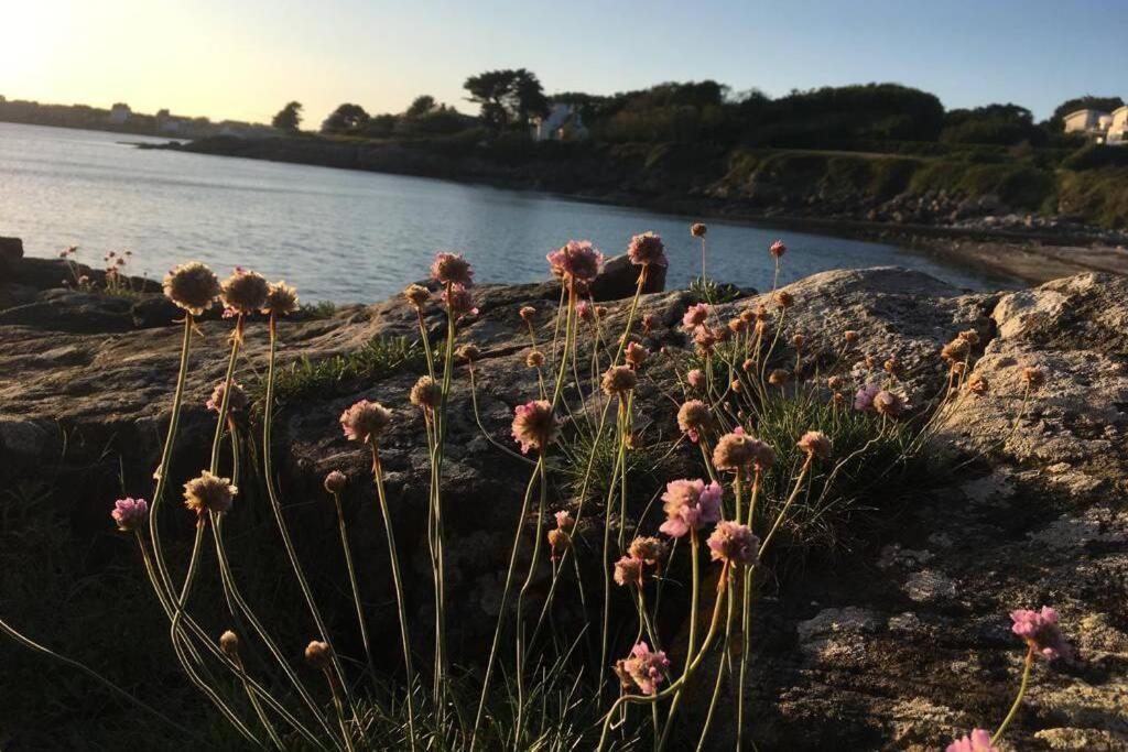 L'Olivier Du Cabellou, A 900 M Des Plages Конкарно Екстериор снимка